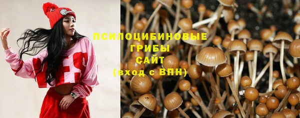 гашик Балабаново